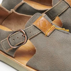 Benirras Premium | Algue