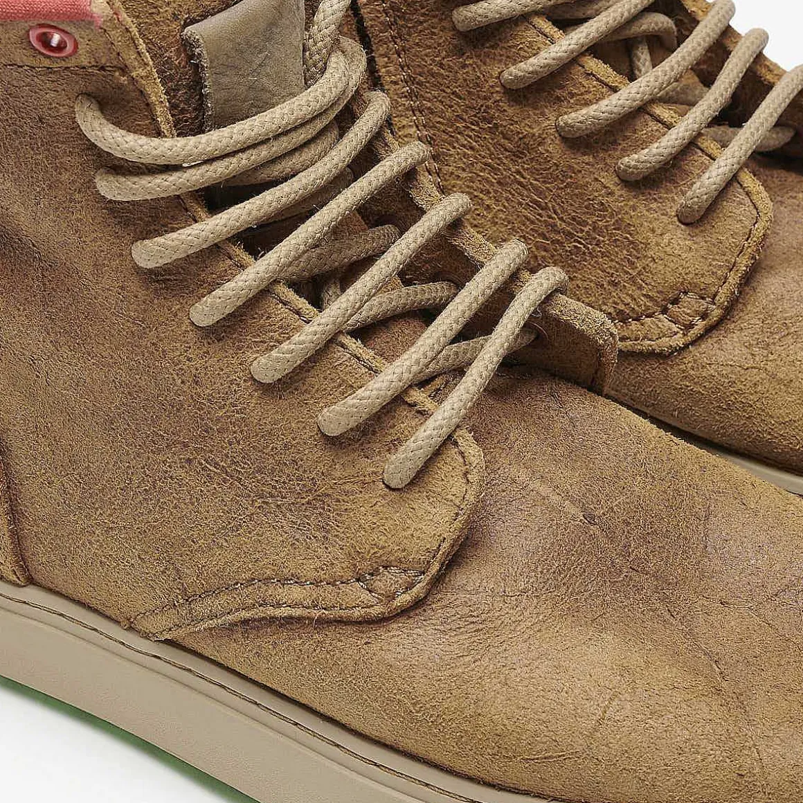 Hida Spitfire | Golden Brown
